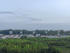 -美丽南方·老木棉匠园·团建烧烤·烤全羊