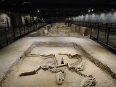 -洛阳周王城天子驾六博物馆