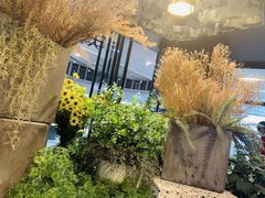 -大树餐厅(红旗街万达店)