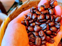 -MUSEO COFFEE咖啡博物馆