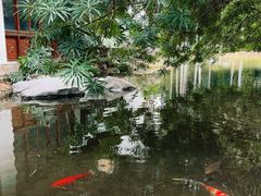 -柳侯公园
