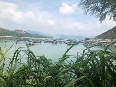 -南丫岛