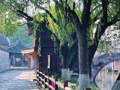 -乌镇东栅景区