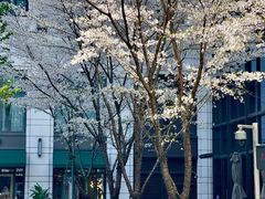 -杭州城中香格里拉大酒店