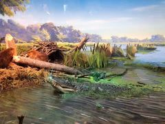 -浙江自然博物院(杭州馆)