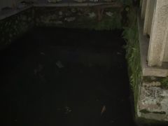 -墨池公园