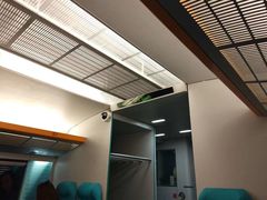 -龙阳路磁悬浮列车总站-停车场