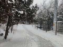 -阳台山自然风景区