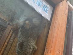 -上海大自然野生昆虫馆(东方明珠·爬宠昆虫探索中心)