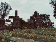 -白鹭湾湿地公园