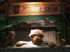 -济州岛泰迪熊博物馆