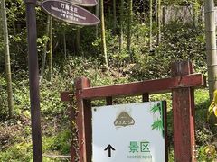 -宁波浙东大竹海景区