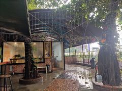 -柴犬高等学院·狗咖·柴犬售卖·宠物训练