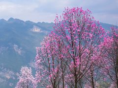 -九皇山景区