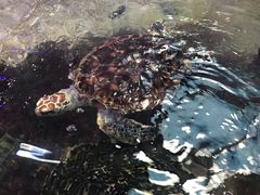 -鸿通城购物中心