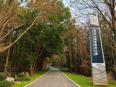 -青龙山国家森林公园