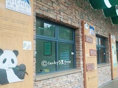 景点-成都大熊猫繁育研究基地