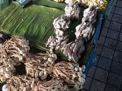 -西双版纳集贸市场