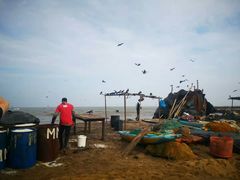 -尼甘布海鲜市场