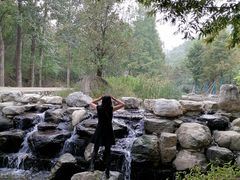 -白水寺森林公园