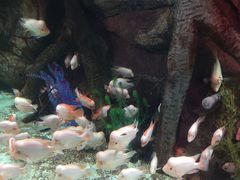 -泉城欧乐堡海洋极地世界