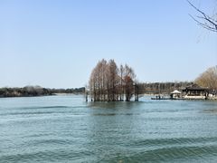 -尚湖风景区