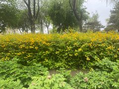 -太阳宫公园