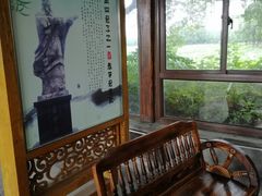 -荷塘月色湿地公园·向阳花洲