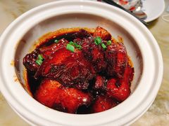 -肥猫(义乌万达店)