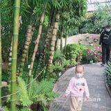 第一次独自带孩子出行