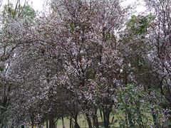 -合肥三国新城遗址公园