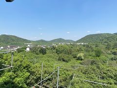 -树山生态村