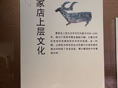 -呼和浩特博物馆