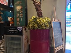-开海·红岛海鲜虾水饺(石老人店)