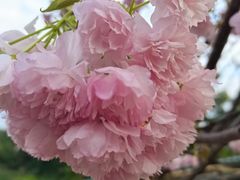 -观澜湖生态运动公社