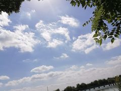 -南湖湿地公园