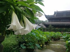 -宝光寺