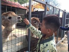 -意大利农场度假村