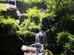 -山沟沟景区