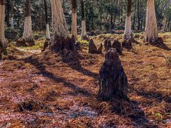 -南京市无想山景区
