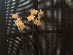 -晶采轩(万象天地店)