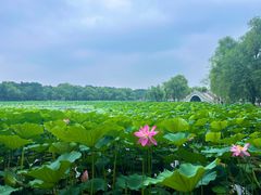 -长春市南湖公园