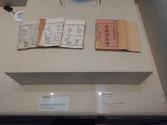 -广东中医药博物馆
