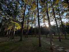 -黑龙江省森林植物园
