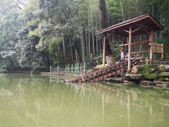 -善卷洞风景区