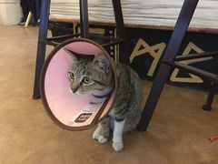 -逃脱反斗城沉浸剧情密室(北京路店)