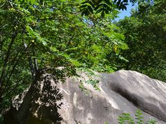 -云岫谷游猎自然风景区