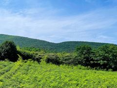 -麦当劳(苏州中心星悦汇店)