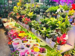-花鸟鱼虫鲜花绿植市场(玉泉路店)