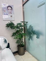 -紫洁俪方（北京）医疗美容